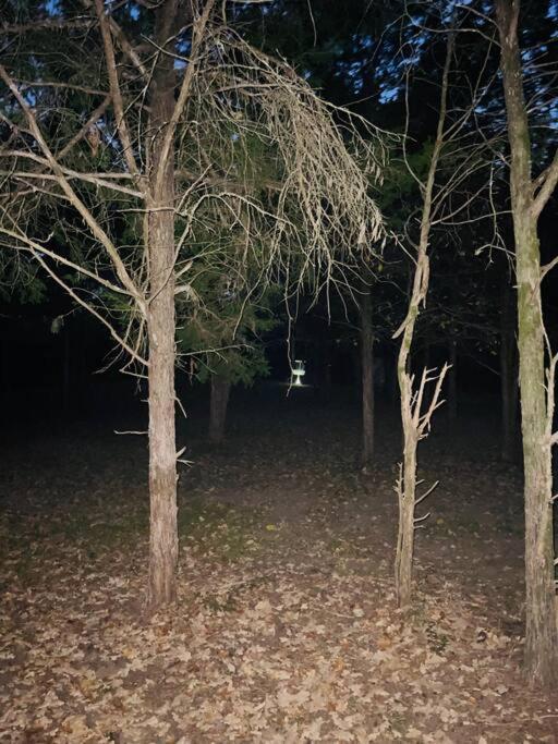 Bastrop Tiny Disc Golf Retreat Villa Bagian luar foto