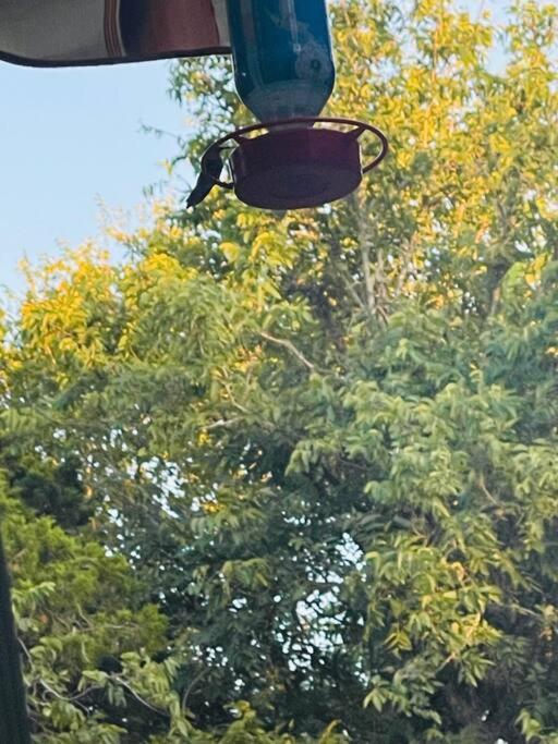Bastrop Tiny Disc Golf Retreat Villa Bagian luar foto