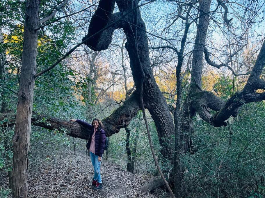 Bastrop Tiny Disc Golf Retreat Villa Bagian luar foto